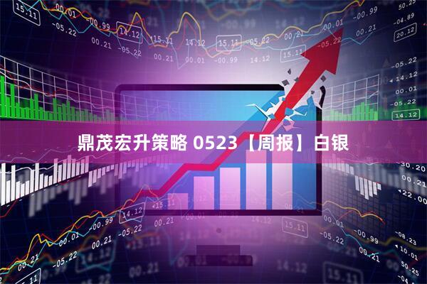 鼎茂宏升策略 0523【周报】白银