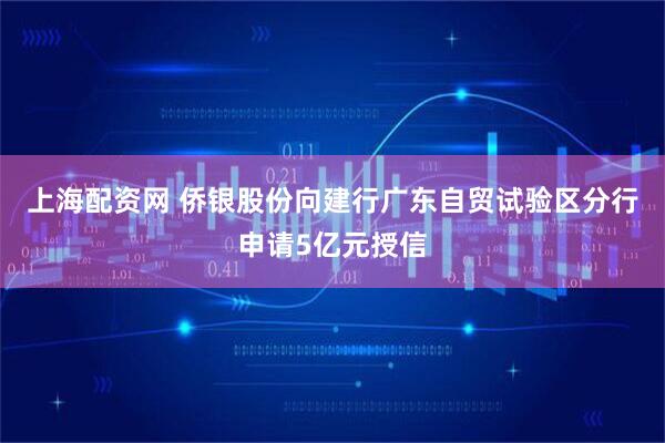 上海配资网 侨银股份向建行广东自贸试验区分行申请5亿元授信