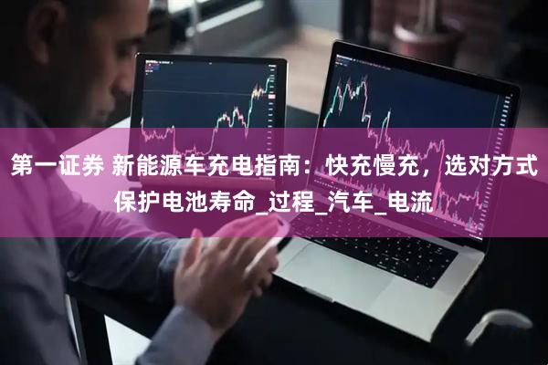 第一证券 新能源车充电指南：快充慢充，选对方式保护电池寿命_过程_汽车_电流