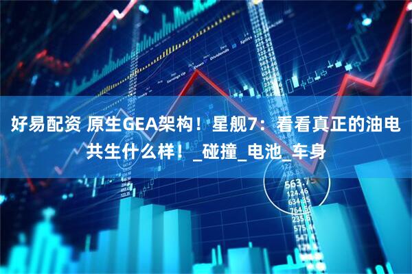 好易配资 原生GEA架构！星舰7：看看真正的油电共生什么样！_碰撞_电池_车身